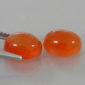 Pedras preciosas de cornalina laranja natural de  ct, transparente, transparente/translúcido