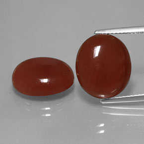 Pedras preciosas de cornalina vermelho natural de  ct, corte oval, translúcido