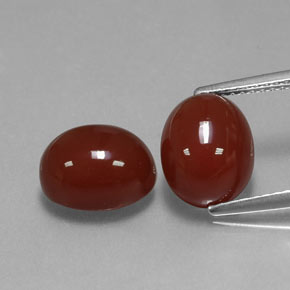 Pedras preciosas de cornalina vermelho natural de  ct, corte oval, translúcido