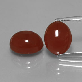 Pedras preciosas de cornalina vermelho natural de  ct, corte oval, translúcido