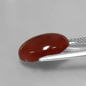 Cornalina laranja natural 5,28ct, corte oval, translúcido