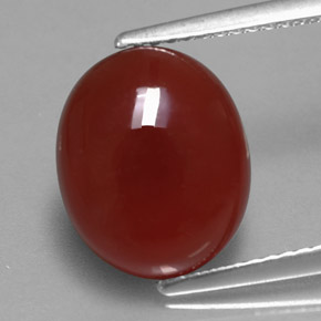 Cornalina vermelho natural 4,71ct, corte oval, translúcido