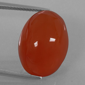 Cornalina laranja natural 15,49ct, transparente, transparente/translúcido