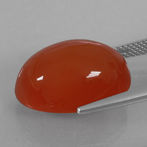Cornalina laranja natural 15,49ct, transparente, transparente/translúcido