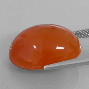 Cornalina laranja natural 18,75ct, corte oval, translúcido