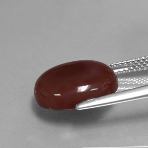 Cornalina marrom natural 5,81ct, corte oval, translúcido