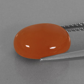 Cornalina laranja natural 3,65ct, transparente, transparente/translúcido