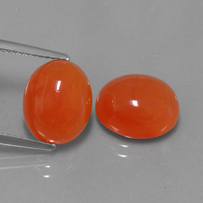 Pedras preciosas de cornalina laranja natural de  ct, transparente, transparente/translúcido