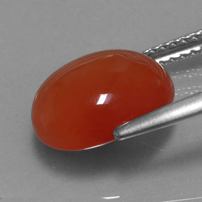 Cornalina laranja natural 3,67ct, transparente, transparente/translúcido