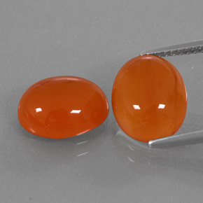 Pedras preciosas de cornalina laranja natural de  ct, transparente, transparente/translúcido
