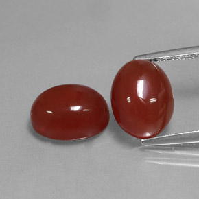 Pedras preciosas de cornalina vermelho natural de  ct, corte oval, translúcido