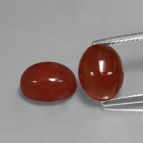 Pedras preciosas de cornalina vermelho natural de  ct, corte oval, translúcido