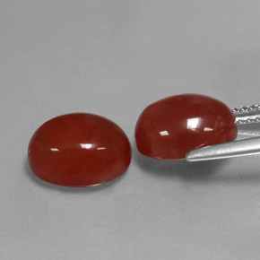 Pedras preciosas de cornalina vermelho natural de  ct, corte oval, translúcido