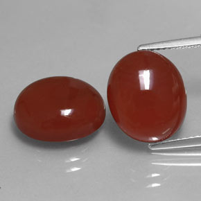 Pedras preciosas de cornalina vermelho natural de  ct, corte oval, translúcido