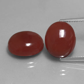 Pedras preciosas de cornalina vermelho natural de  ct, corte oval, translúcido