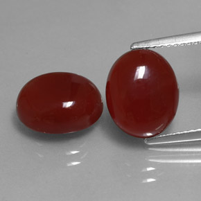 Pedras preciosas de cornalina vermelho natural de  ct, corte oval, translúcido
