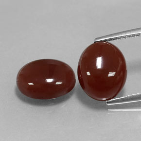 Pedras preciosas de cornalina vermelho natural de  ct, corte oval, translúcido
