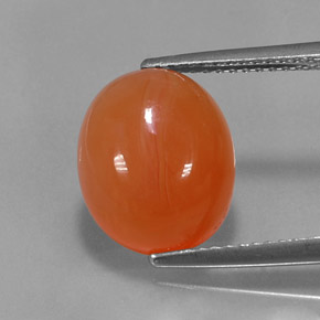 Cornalina laranja natural 4,95ct, transparente, transparente/translúcido