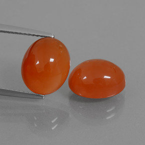 Pedras preciosas de cornalina laranja natural de 8,54 ct, corte oval, translúcido