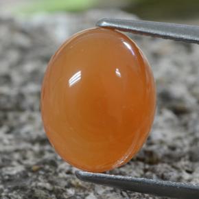 Cornalina laranja avermelhado Natural 2.88ct, Corte Oval, Translúcido