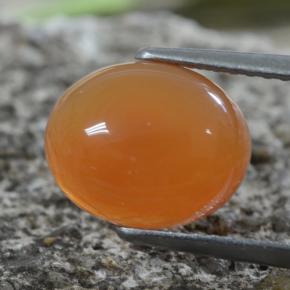 Cornalina laranja avermelhado Natural 2.88ct, Corte Oval, Translúcido
