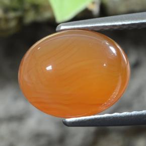Cornalina laranja natural 2,92ct, corte oval, translúcido