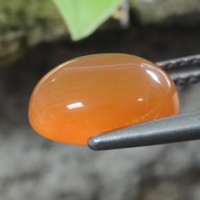 Cornalina laranja natural 2,92ct, corte oval, translúcido