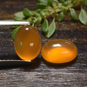 Pedras preciosas de Cornalina Laranja natural de 2.65 ct, Corte Oval, Translúcido