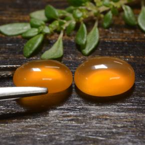 Pedras preciosas de Cornalina Laranja natural de 2.65 ct, Corte Oval, Translúcido