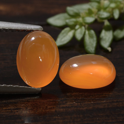 Pedras preciosas de cornalina laranja natural de 2,39 ct, corte oval, translúcido