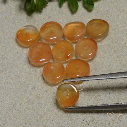 Pedras preciosas de Cornalina Laranja escuro natural de 7.53 ct, Forma extravagante, Translúcido