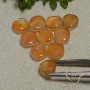 Pedras preciosas de Cornalina Laranja escuro natural de 7.53 ct, Forma extravagante, Translúcido