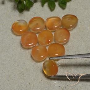 Pedras preciosas de Cornalina Laranja escuro natural de 7.53 ct, Forma extravagante, Translúcido