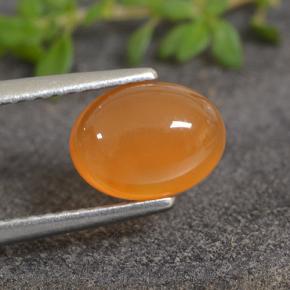 Cornalina Laranja Médio Natural 1.25ct, Corte Oval, Translúcido