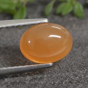 Cornalina laranja avermelhado Natural 1.40ct, Corte Oval, Translúcido