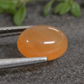Cornalina laranja avermelhado Natural 1.40ct, Corte Oval, Translúcido