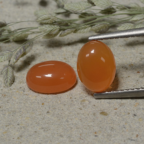 Pedras preciosas de Cornalina laranja avermelhado natural de 2.97 ct, Corte Oval, Translúcido