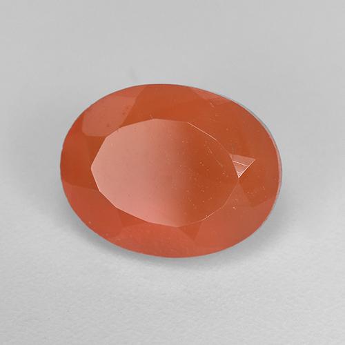 Cornalina Laranja Médio Natural 1.69ct, Corte Oval, Translúcido