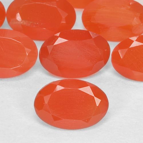 Pedras preciosas de cornalina laranja natural de 1,55 ct, corte oval, translúcido