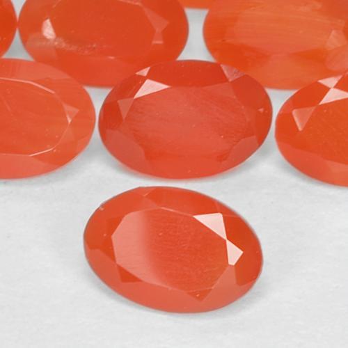 Pedras preciosas de cornalina laranja natural de 1,55 ct, corte oval, translúcido