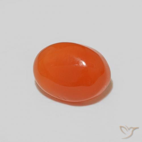 Cornalina laranja intenso natural 1,53ct, corte oval, opaco