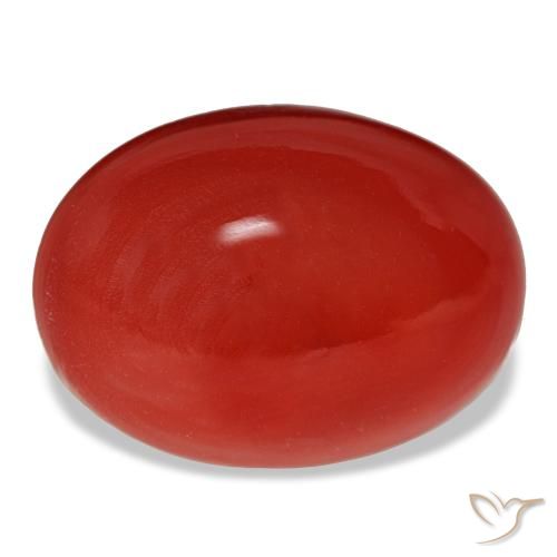 Cornalina vermelho natural 13,90ct, corte oval, opaco