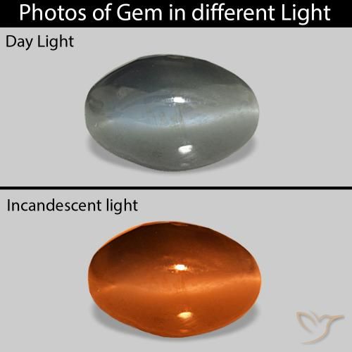 Cat's Eye Alexandrite cinza médio Natural 1.00ct, oval, Opaco