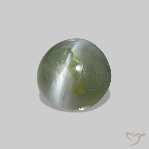 Cat's Eye Alexandrite Verde médio Natural 0.53ct, oval, Opaco