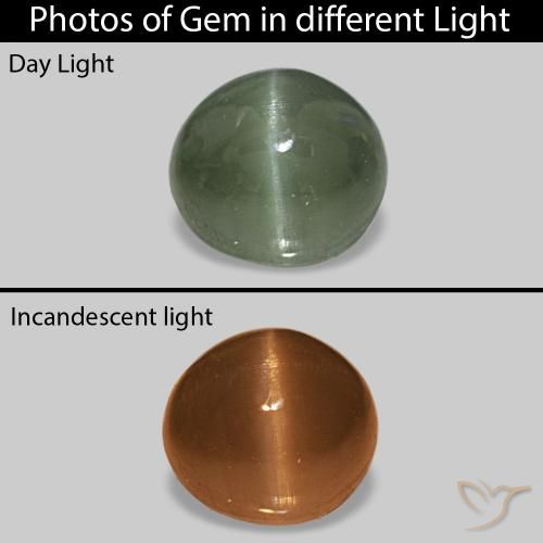 Cat's Eye Alexandrite Verde médio Natural 0.59ct, oval, Opaco