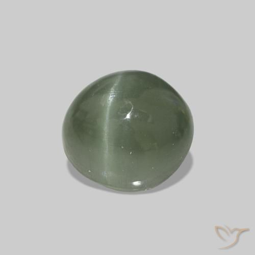Cat's Eye Alexandrite Verde médio Natural 0.59ct, oval, Opaco
