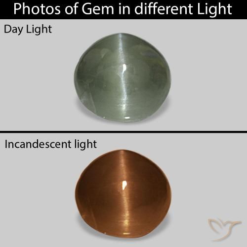 Cat's Eye Alexandrite Verde médio Natural 0.54ct, oval, Opaco