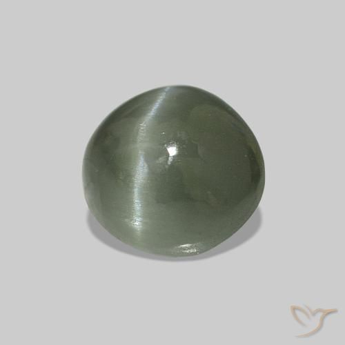 Cat's Eye Alexandrite Verde médio Natural 0.54ct, oval, Opaco
