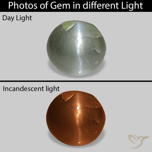 Cat's Eye Alexandrite Verde acinzentado Natural 0.51ct, oval, Opaco