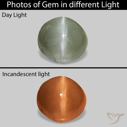 Cat's Eye Alexandrite Verde médio Natural 0.60ct, oval, Opaco